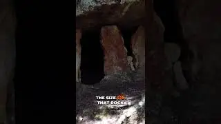We Found Ancient Dolmens Hidden in the Forest