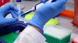Research Opportunities for Clinical Trainees | Bridging Medicine & Discovery