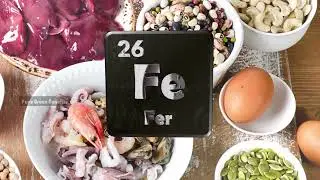 Top 10 aliments riches en fer 🔥
