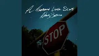 A Thousand Little Scars