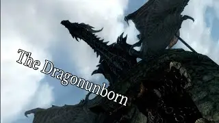 Skyrim The Comedy Part 1 | Soundwave101