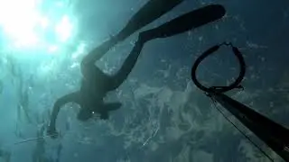 Pesca sub agguato ai saraghi nel sottocosta con cressi yuma 85