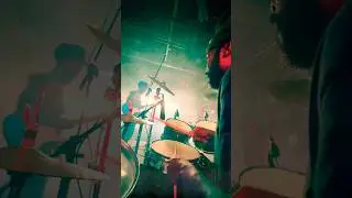 Lion story #africa #jamaica #reggae #music #lionstory #live #band #europe #shorts #rasta #vibes