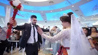 01 Diyar & Ghalia #Tahani_Video