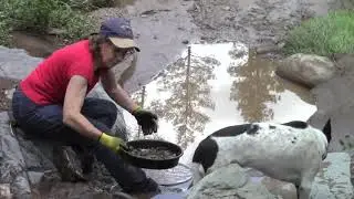 HOW TO CREVICE FOR BIG GOLD IN ARIZONA