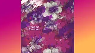 Shape2 - S2 Self 2