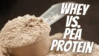 Whey Protein vs. Pea Protein | Pros. Vs. Cons