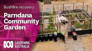 Parndana Community Garden  | Bushfire recovery | Gardening Australia