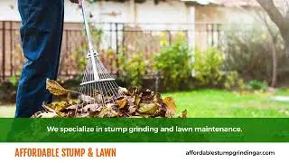 Affordable Stump & Lawn Calico Rock Arkansas 72519