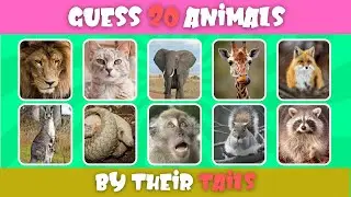 Guess 20 Animals by Their Tails | Fun Quiz Challenge! |