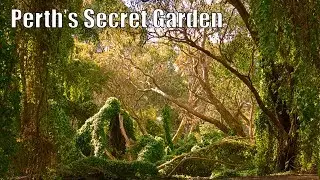 Perth's Secret Garden in 4K - Gwelup Western Australia