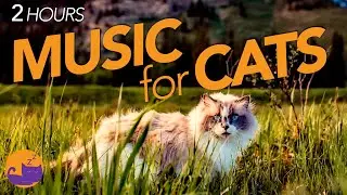 2 HOURS of Music for Cats - Instant Results will SHOCK You!🐱🎶