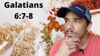 What will your harvest look like? Encouragement from Galatians 6:7-8