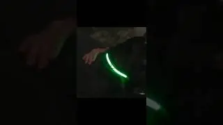 Glowing LED Dog Collar for Night Safety
