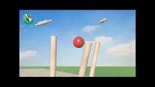Cricket  _  3D Motion Graphic