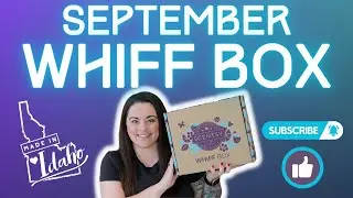 Сентябрь 2023 г. Whiff Box