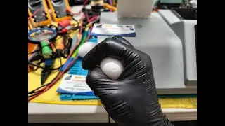 🥚Egg Force Reader, by ORKA Food Technology, Small test to understand the Equipment. 🥚💯🚭🎩🦼