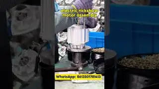 High-Performance Electric Three-Wheeler Motor #bldc #electricrickshaw #controller #rearaxle #gearbox