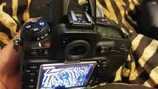 Nikon camera review of D810 vs D850, D610