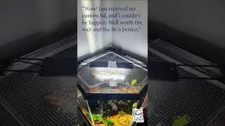 Custom Aquarium Fish Tank Lid - Octo Aquatics