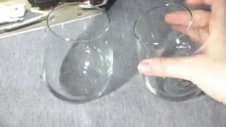 Govino Dishwasher Safe Wine Glasses