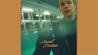 Rex Orange County - Apricot Princess