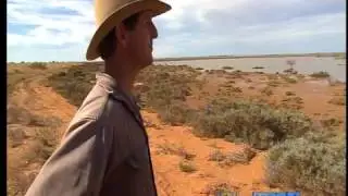 Wilderness Island - Today Tonight