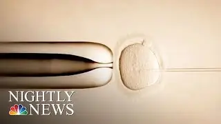 Human Embryos &lsquo;Edited&rsquo; In U.S. For First Time | NBC Nightly News
