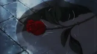skylarallen - write my wrongs (ft. sepha.) [AMV]