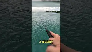 PESCA TONNO DA RIVA #fishing #tuna #pesca