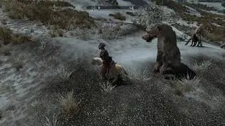 Skyrim - Tiny Horse Crew!