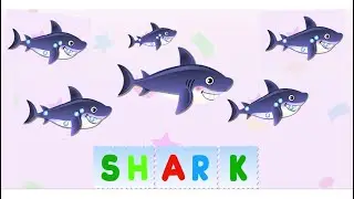 Bini ABC Reading Academy - Letter S - SEAGULL, SHARK, SHEEP, SING -  Bini Bambini Games