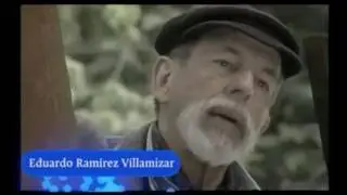 Ramirez Villamizar. M&uacute;sica. Metacampus UNAL