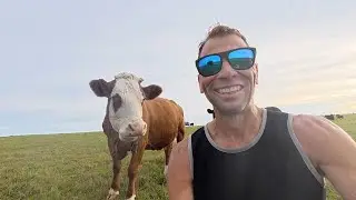 Another week, another easy run on the hills