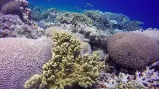 Island hopping in Palau Hatta@Banda Islands