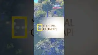 NATIONAL GEOGRAPHIC IN BMPS