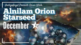 Alnilam Orion Starseed 'Orion Week' The Row of Peaceful Pearls will excel where other's cant see