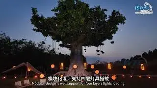 C-Body Shanghai Cooperation Organization Music Concert - 0704