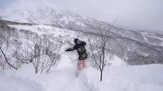 Shredding with Torah Bright, Robin Van Gyn, Aimee Fuller, and Lena Stoffel in Niseko