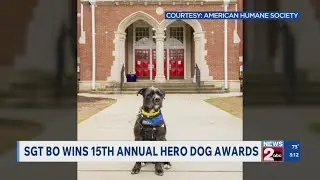 Sgt. Bo is a Hero Dog Award winner!