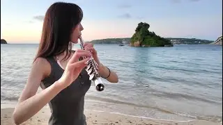 TSUNAMI/サザンオールスターズ【flute cover】