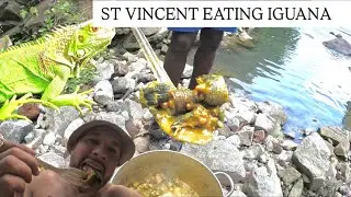 EATING IGUANA IN ST VINCENT