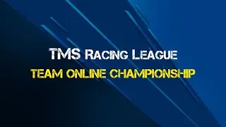 Team Online Championship: Week 6 | Le Mans Ultimate | TMS Racing League | No commentary, pure racing