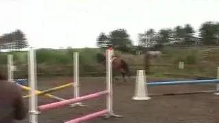 MOV233
