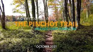 Pinchot Trail (South Loop) - Pinchot State Forest - PA