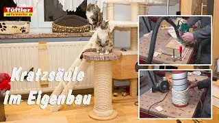 Kratzsäule für Katzen selber bauen