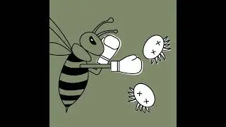 Lutter contre Varroa