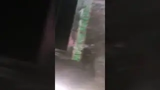 seed treater machine