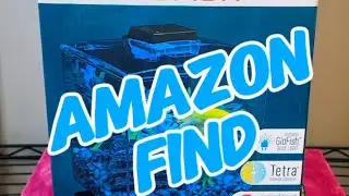 GloFish Fish Tank Aquarium Kit Review - Why This is an Amazon Find!