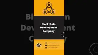 Blockchain Development Company || Riseup Labs #shorts